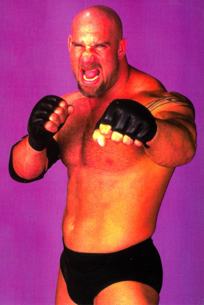 #1 - 15 Panini WCW/nWo Superstars Photocards [1998] - WCW Worldwide