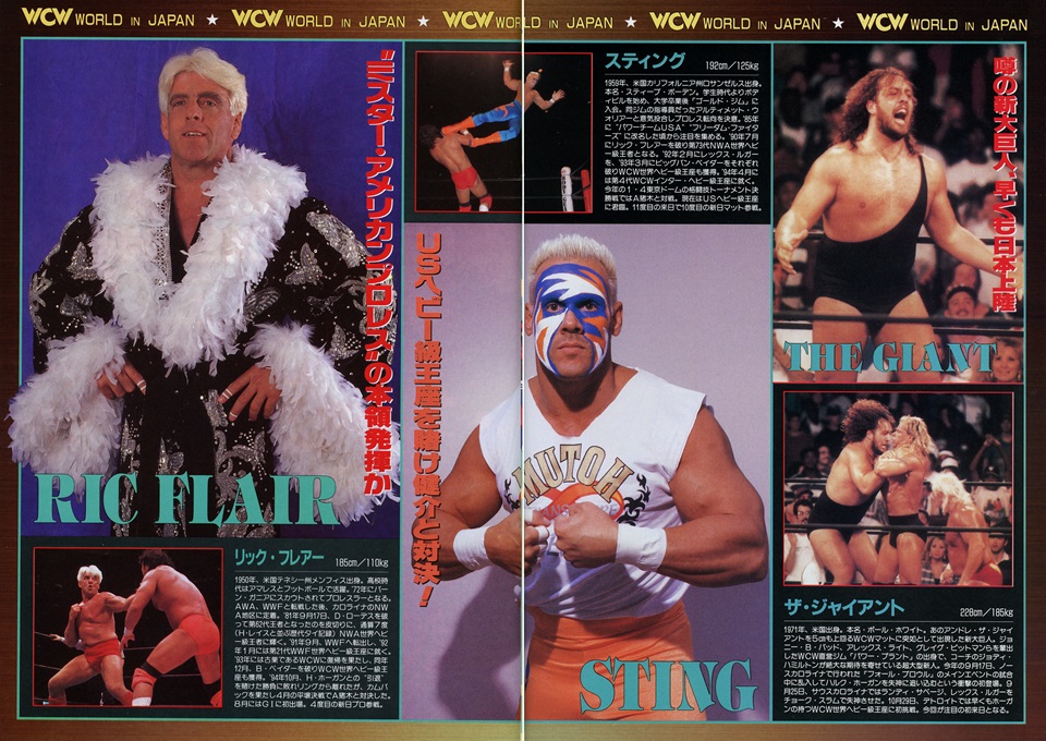 sting wcw 1995